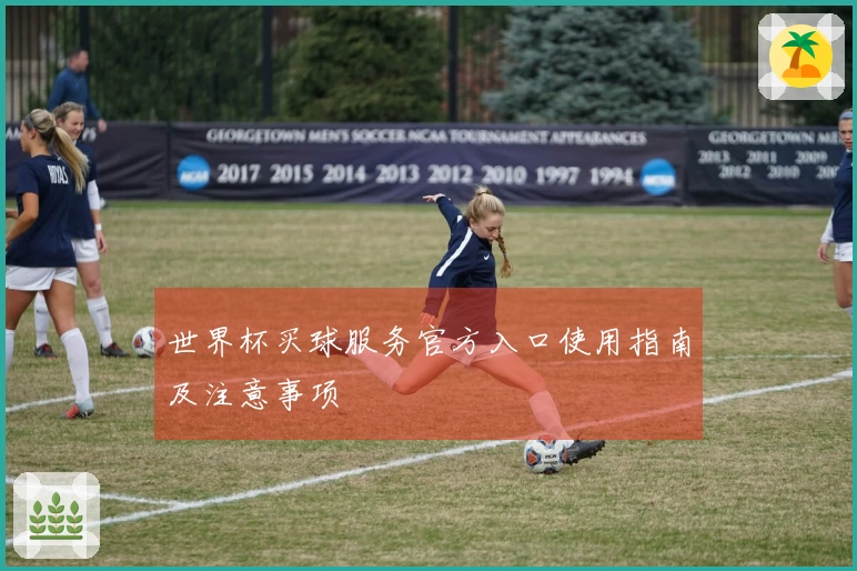 世界杯买球服务官方入口使用指南及注意事项