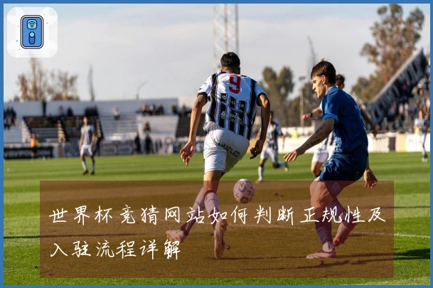 世界杯竞猜网站如何判断正规性及入驻流程详解