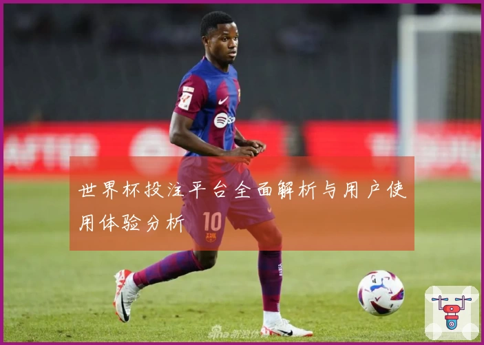 世界杯投注平台全面解析与用户使用体验分析