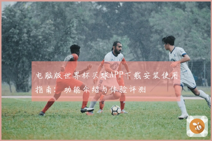 电脑版世界杯买球APP下载安装使用指南：功能介绍与体验评测