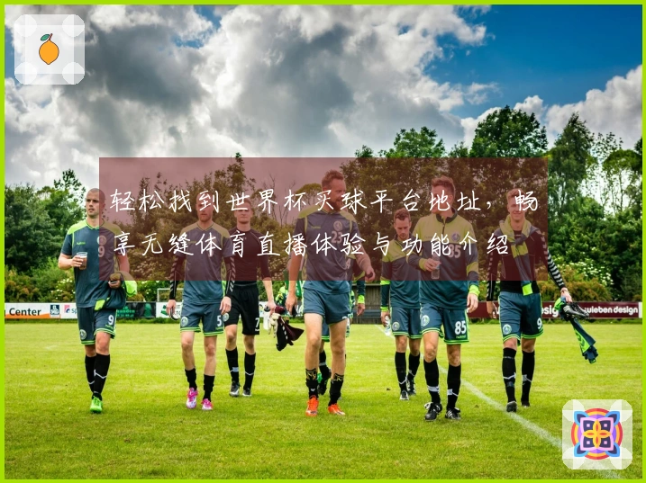 轻松找到世界杯买球平台地址，畅享无缝体育直播体验与功能介绍