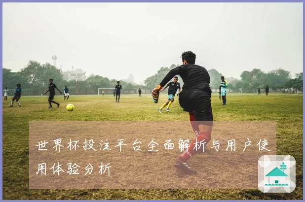 世界杯投注平台全面解析与用户使用体验分析