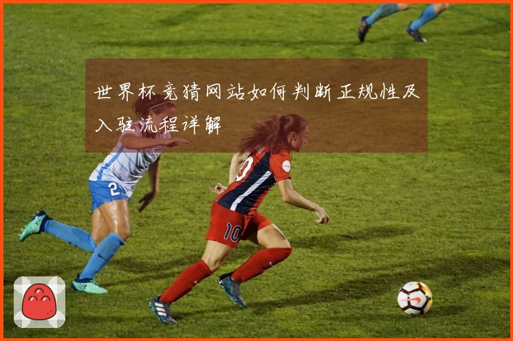 世界杯竞猜网站如何判断正规性及入驻流程详解