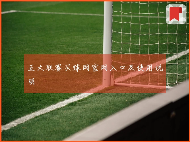 五大联赛买球网官网入口及使用说明