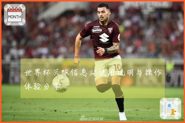 世界杯买球信息站使用说明与操作体验分享