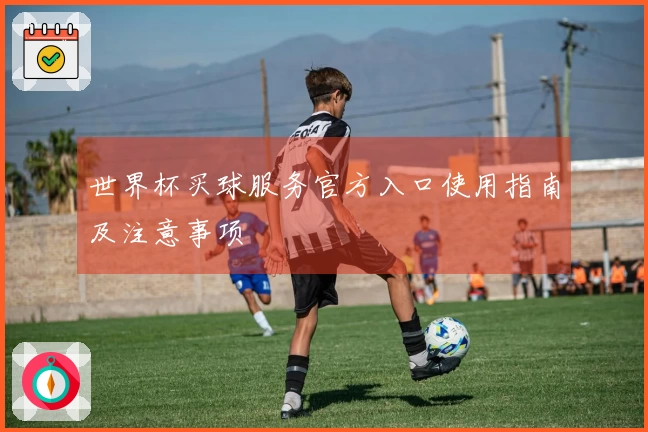 世界杯买球服务官方入口使用指南及注意事项