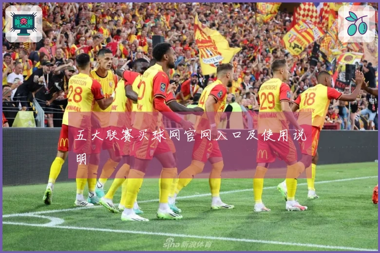 五大联赛买球网官网入口及使用说明