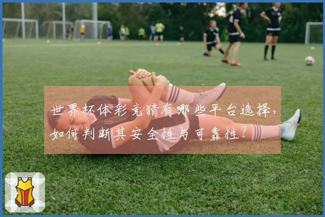 世界杯体彩竞猜有哪些平台选择，如何判断其安全性与可靠性？