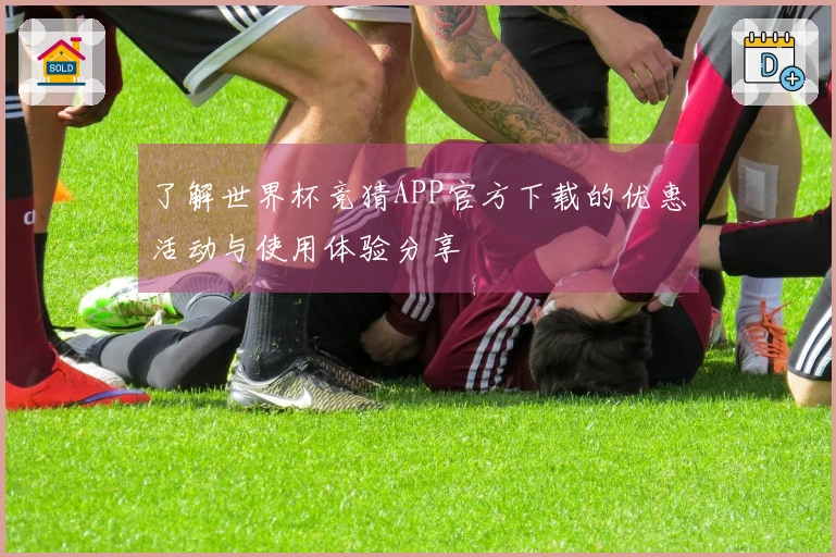 了解世界杯竞猜APP官方下载的优惠活动与使用体验分享