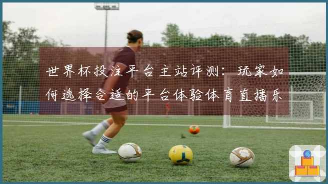 世界杯投注平台主站评测：玩家如何选择合适的平台体验体育直播乐趣