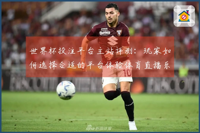世界杯投注平台主站评测：玩家如何选择合适的平台体验体育直播乐趣