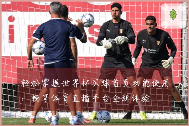 轻松掌握世界杯买球首页功能使用，畅享体育直播平台全新体验