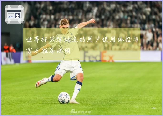世界杯买球站点的用户使用体验与官方推荐说明