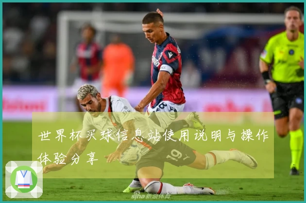 世界杯买球信息站使用说明与操作体验分享